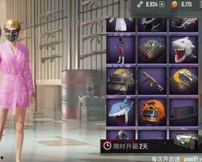 光子爆料皮肤视频,皮肤视频中的隐藏彩蛋与惊喜  第1张