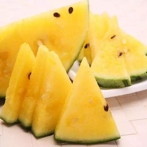 免费吃瓜群图什么,一场视觉盛宴背后的故事 第1张 免费吃瓜群图什么,一场视觉盛宴背后的故事 第1张